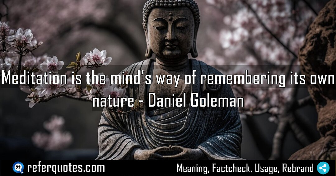 Meditation is the mind s way of remembering Meaning Factcheck Usage