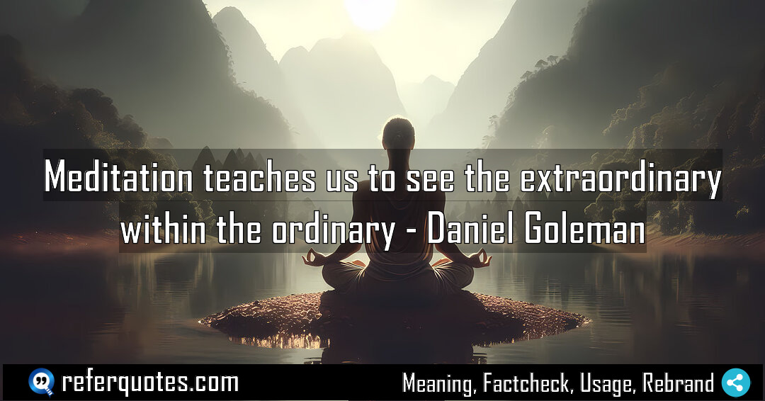 Meditation teaches us to see the extraordinary within Meaning Factcheck Usage