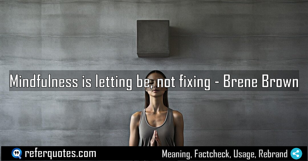 Mindfulness is letting be not fixing Meaning Factcheck Usage