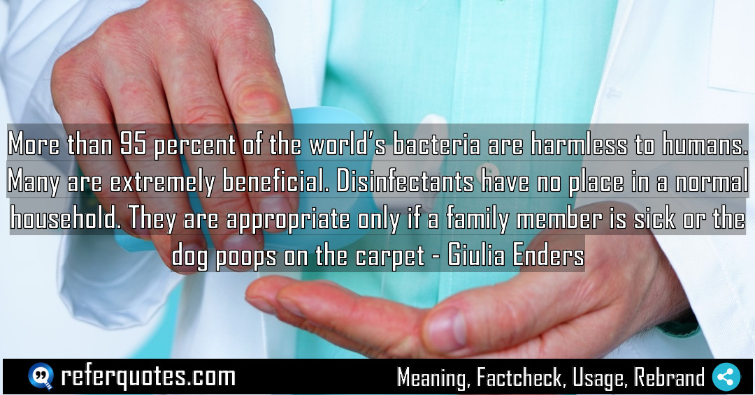 More than 95 percent of the world s Meaning Factcheck Usage