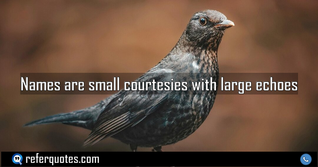 Names are small courtesies with large echoes Meaning Factcheck Usage
