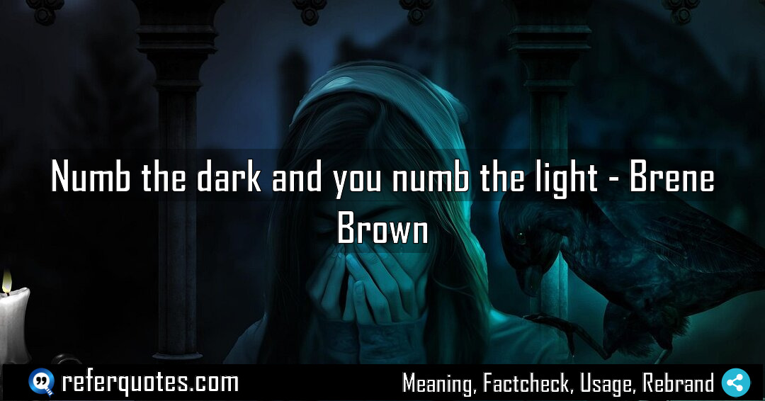 Numb the dark and you numb the light Meaning Factcheck Usage