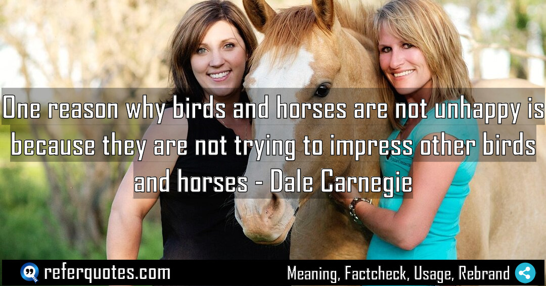 One reason why birds and horses are not Meaning Factcheck Usage