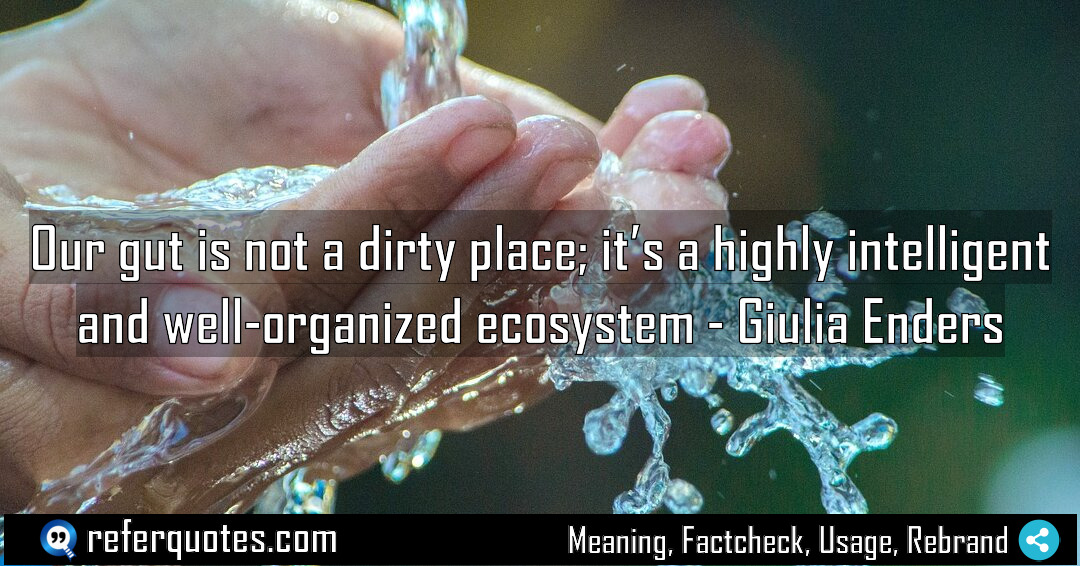 Our gut is not a dirty place it Meaning Factcheck Usage