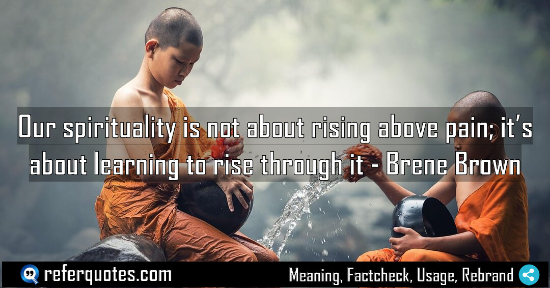 Our spirituality is not about rising above pain Meaning Factcheck Usage