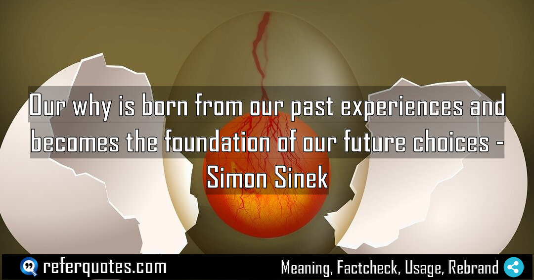 Our why is born from our past experiences Meaning Factcheck Usage