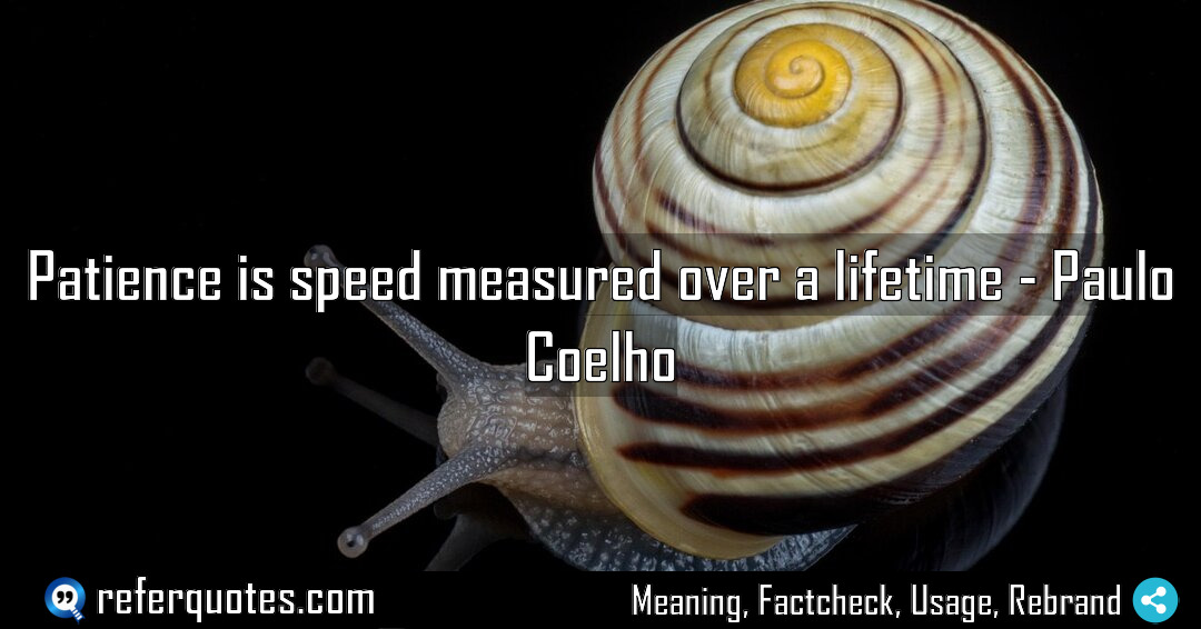 Patience is speed measured over a lifetime Meaning Factcheck Usage