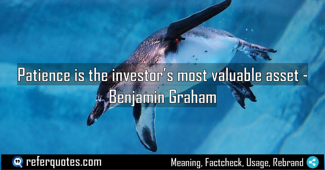Patience is the investor s most valuable asset Meaning Factcheck Usage