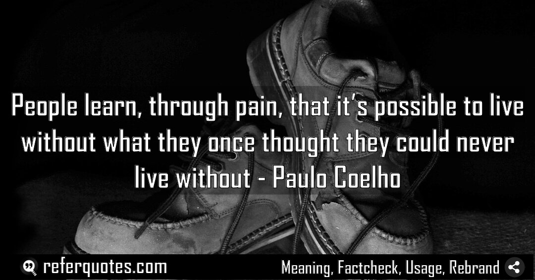 People learn through pain that it s possible Meaning Factcheck Usage