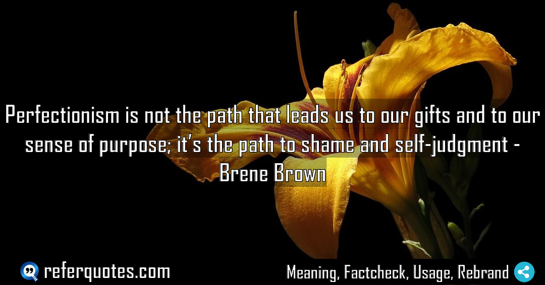 Perfectionism is not the path that leads us Meaning Factcheck Usage