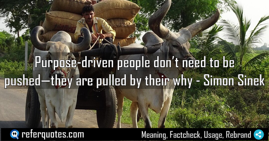 Purpose driven people don t need to be Meaning Factcheck Usage