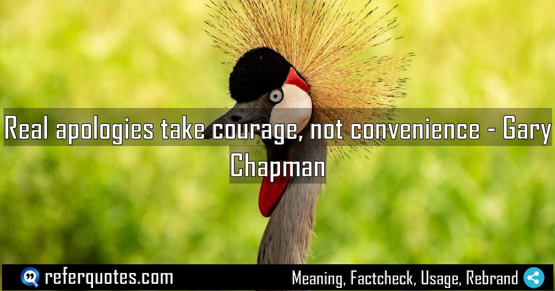 Real apologies take courage not convenience Meaning Factcheck Usage