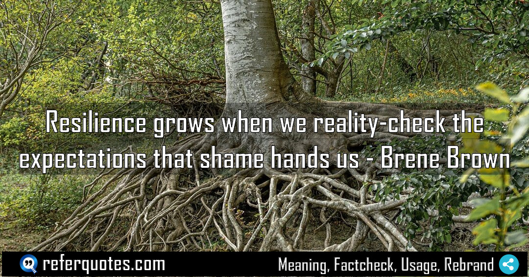 Resilience grows when we reality check the expectations Meaning Factcheck Usage