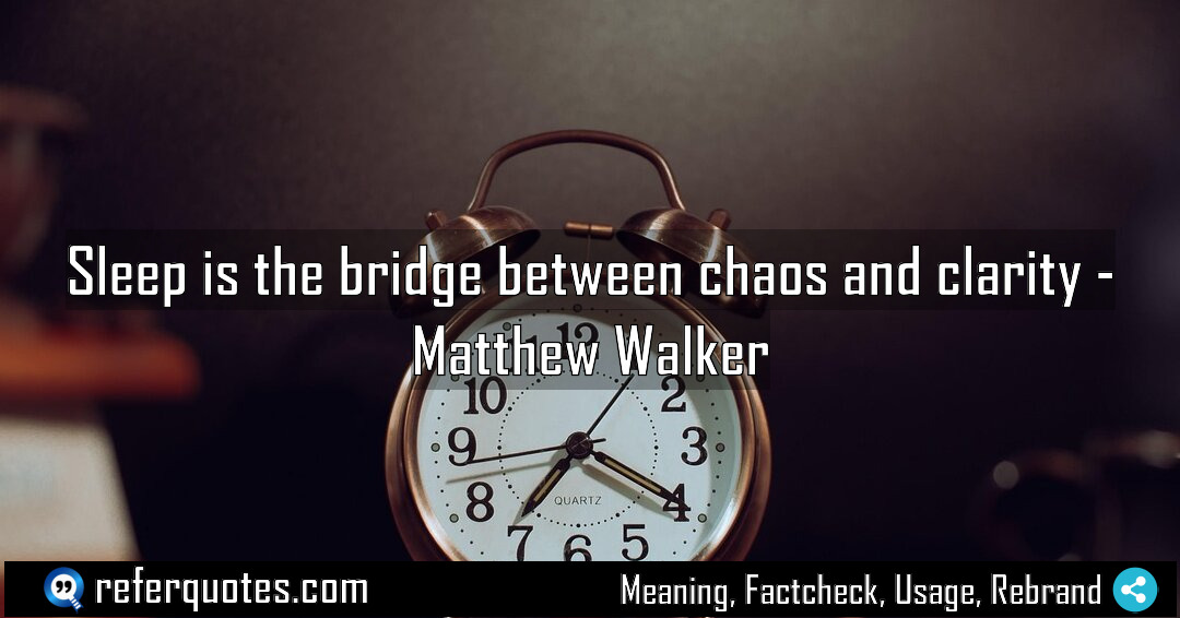 Sleep is the bridge between chaos and clarity Meaning Factcheck Usage