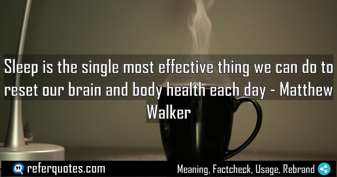 Sleep is the single most effective thing we Meaning Factcheck Usage