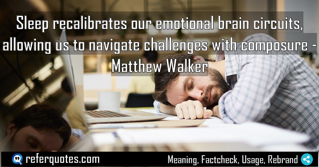 Sleep recalibrates our emotional brain circuits allowing us Meaning Factcheck Usage