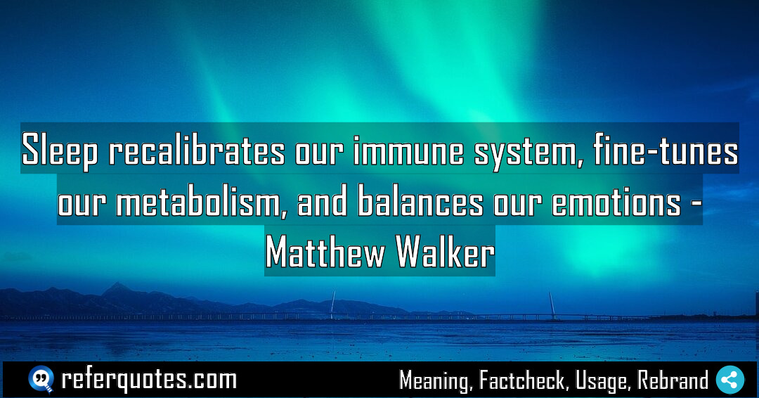 Sleep recalibrates our immune system fine tunes our Meaning Factcheck Usage