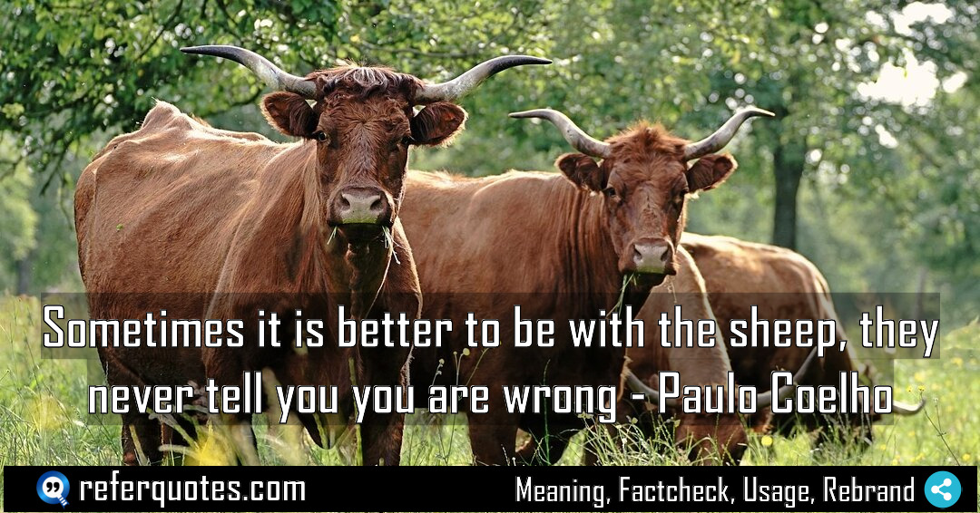 Sometimes it is better to be with the Meaning Factcheck Usage