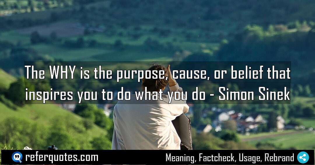 The WHY is the purpose cause or belief Meaning Factcheck Usage