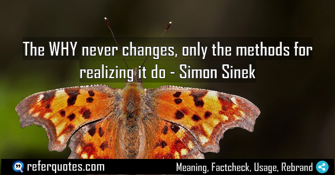 The WHY never changes only the methods for Meaning Factcheck Usage