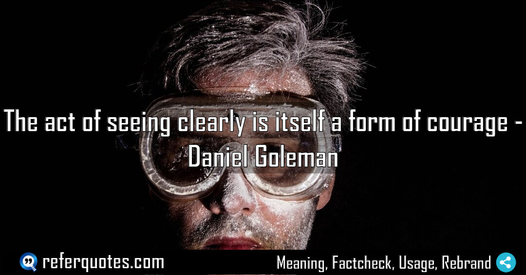 The act of seeing clearly is itself a Meaning Factcheck Usage