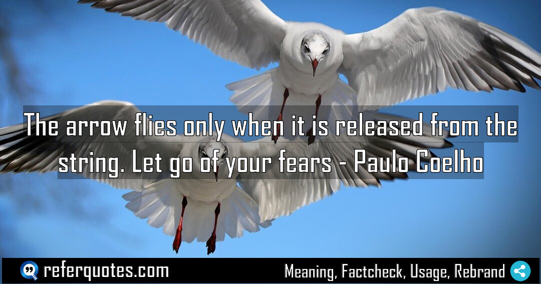The arrow flies only when it is released Meaning Factcheck Usage