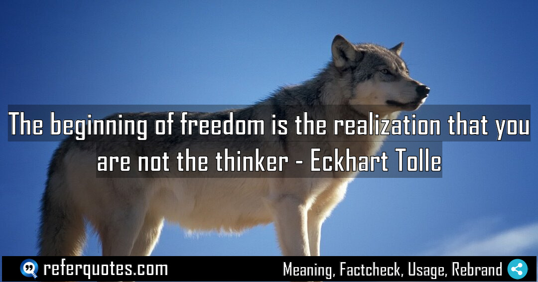 The beginning of freedom is the realization that Meaning Factcheck Usage