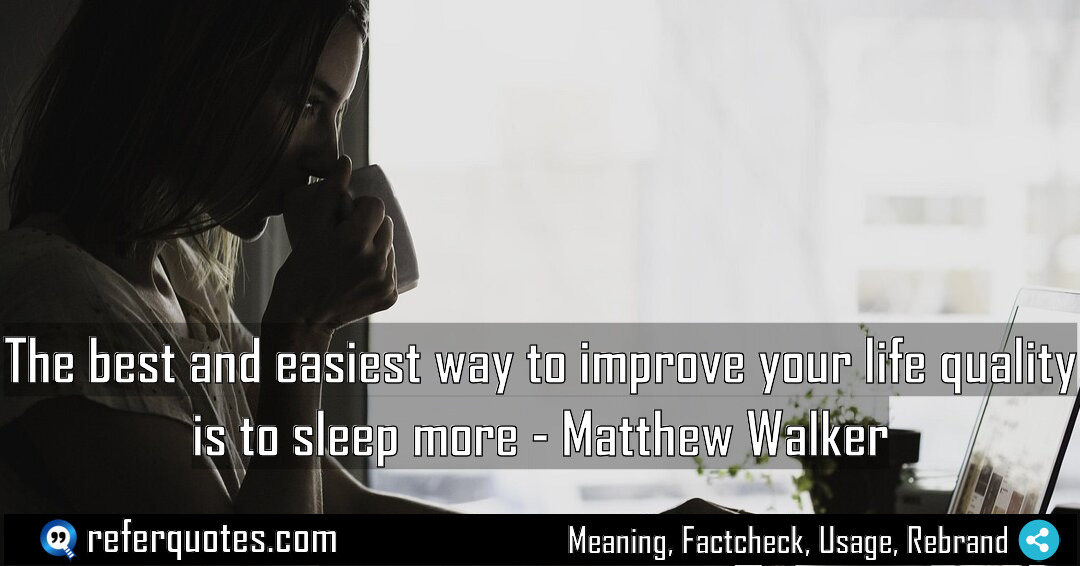 The best and easiest way to improve your Meaning Factcheck Usage