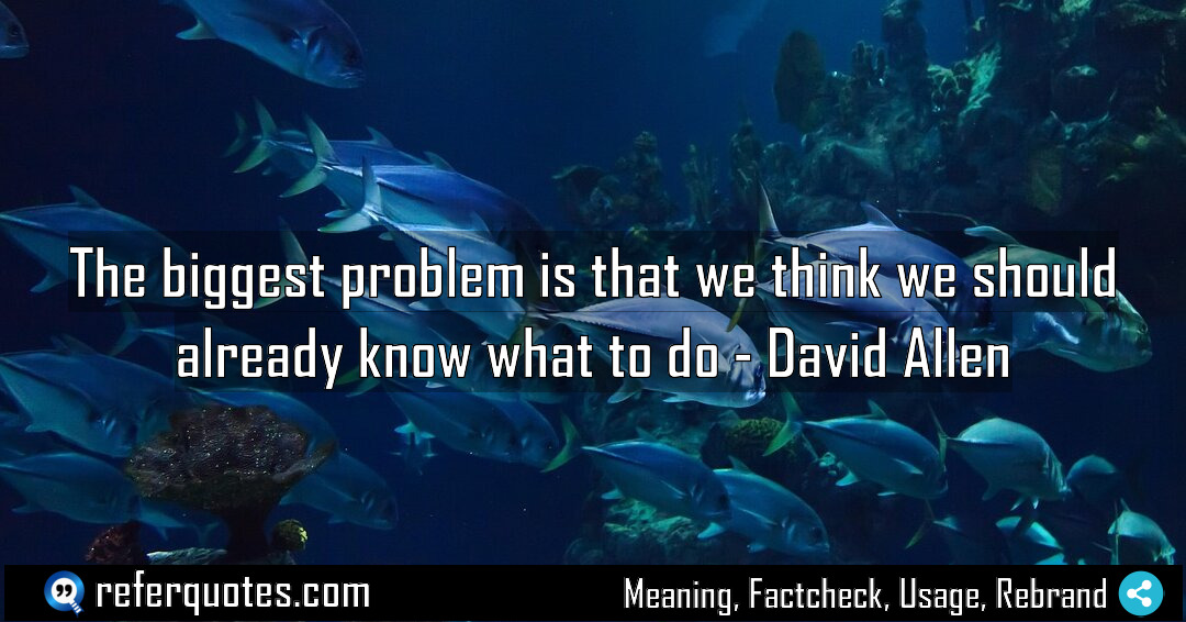 The biggest problem is that we think we Meaning Factcheck Usage