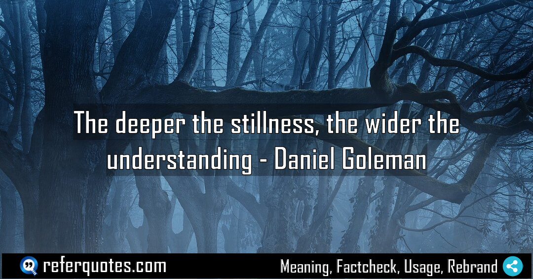 The deeper the stillness the wider the understanding Meaning Factcheck Usage