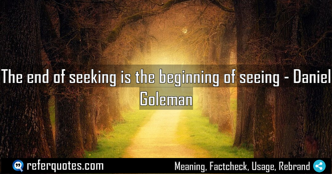 The end of seeking is the beginning of Meaning Factcheck Usage