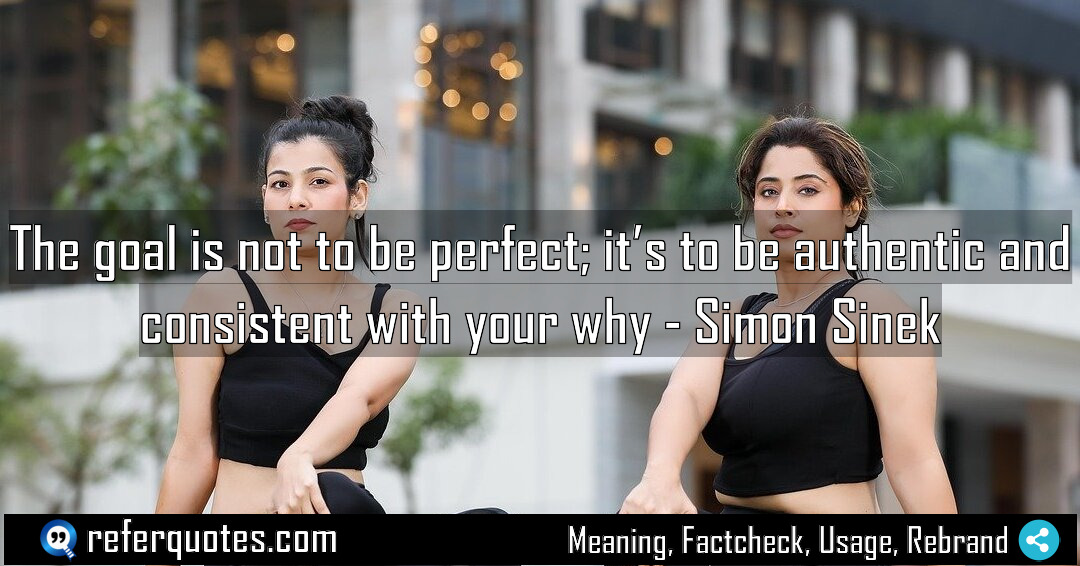 The goal is not to be perfect it Meaning Factcheck Usage