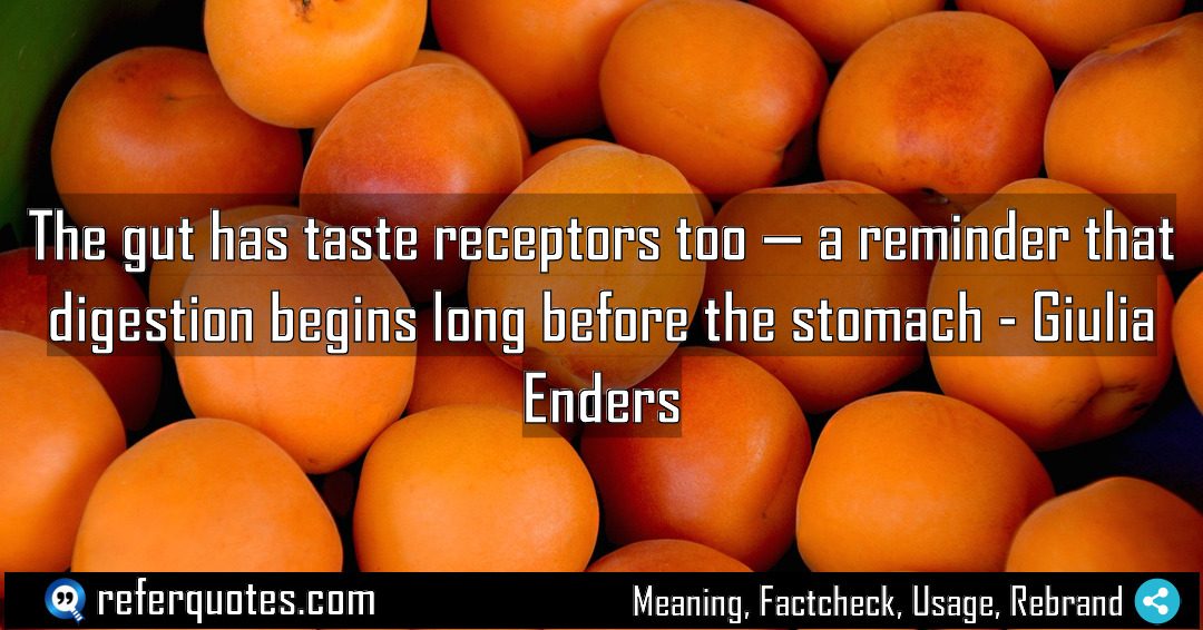 The gut has taste receptors too a reminder Meaning Factcheck Usage