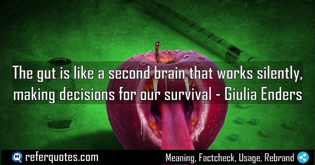 The gut is like a second brain that Meaning Factcheck Usage