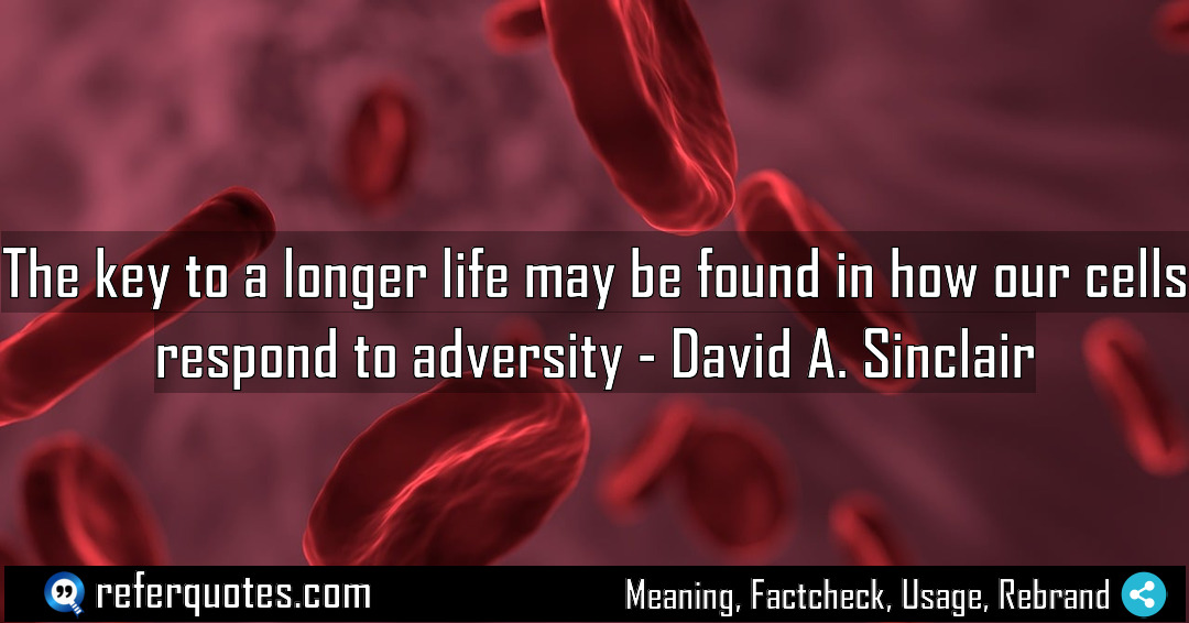 The key to a longer life may be Meaning Factcheck Usage