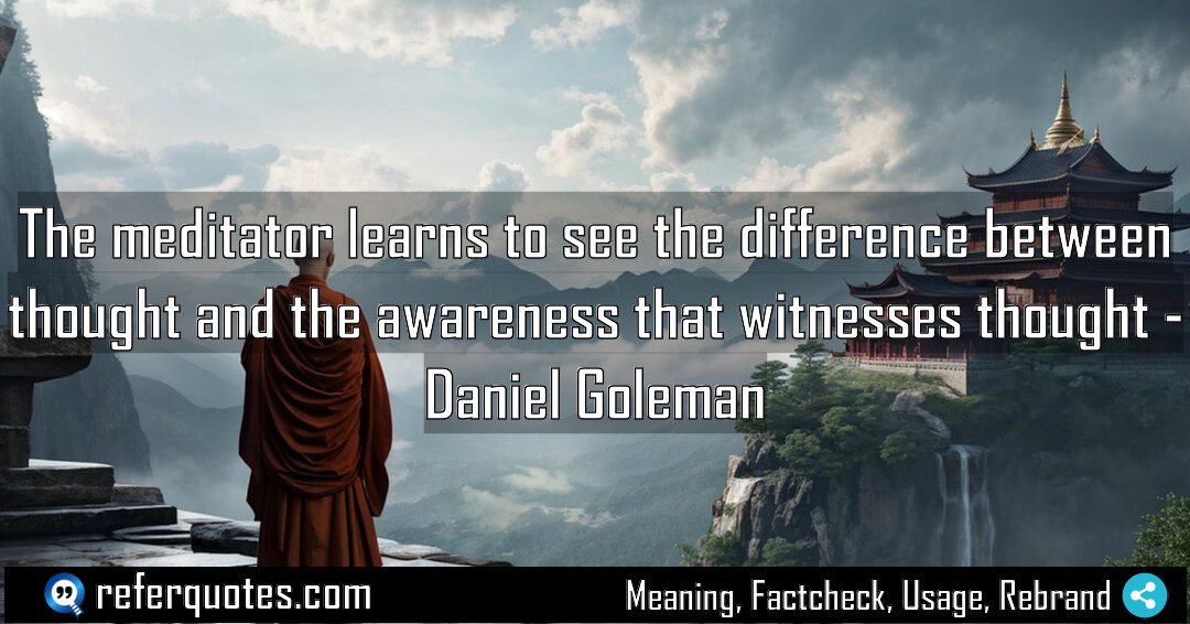 The meditator learns to see the difference between Meaning Factcheck Usage