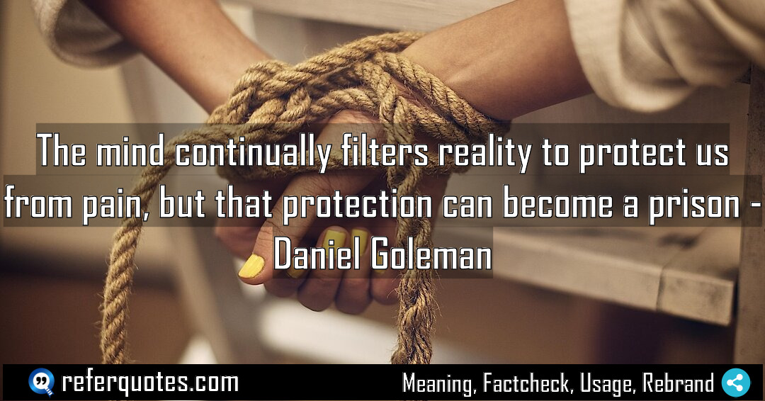 The mind continually filters reality to protect us Meaning Factcheck Usage