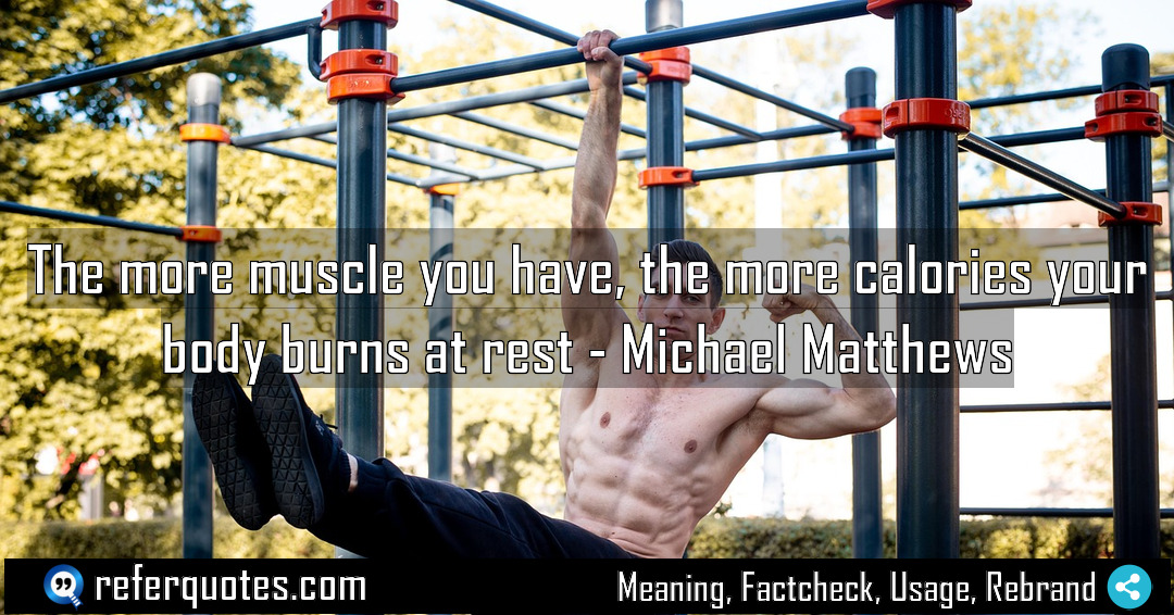 The more muscle you have the more calories Meaning Factcheck Usage