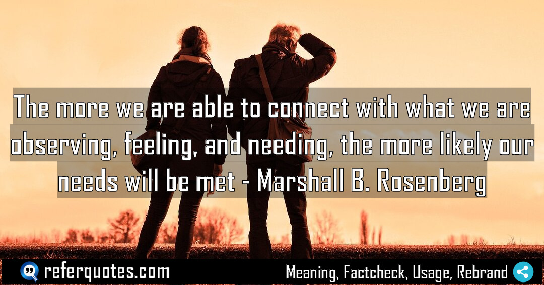 The more we are able to connect with Meaning Factcheck Usage