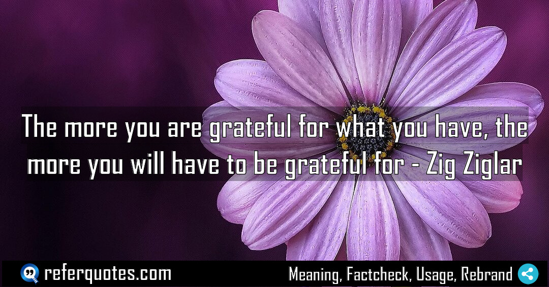 The more you are grateful for what you Meaning Factcheck Usage