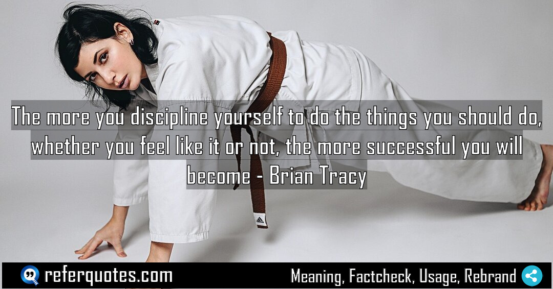 The more you discipline yourself to do the Meaning Factcheck Usage
