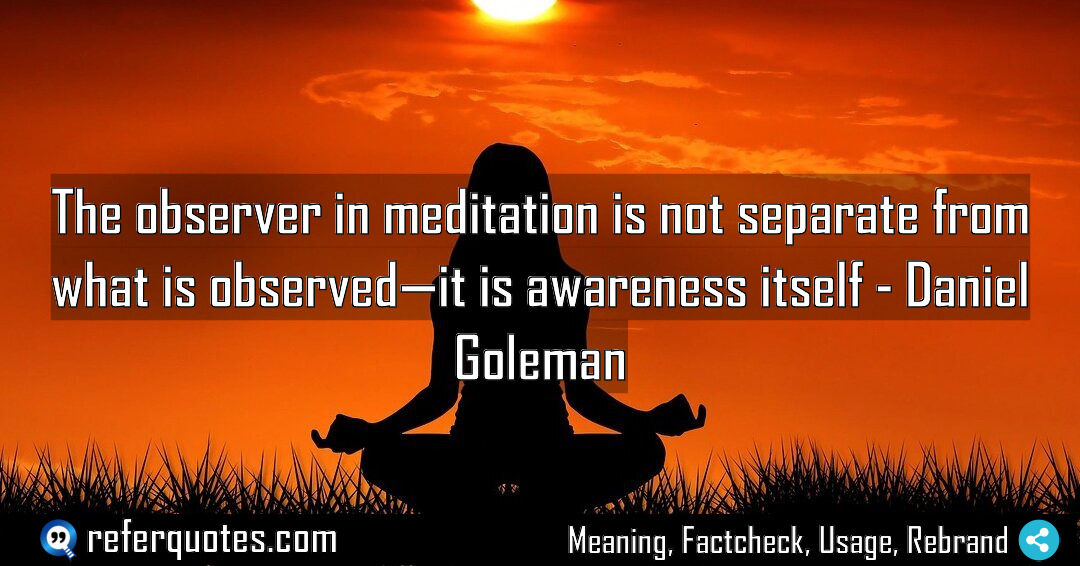 The observer in meditation is not separate from Meaning Factcheck Usage