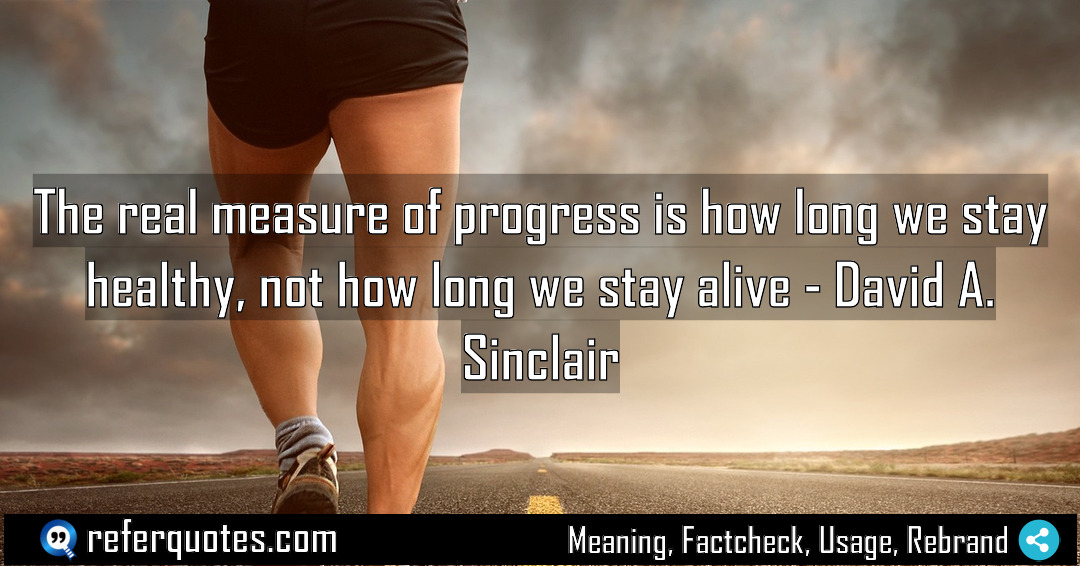 The real measure of progress is how long Meaning Factcheck Usage