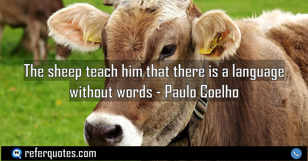 The sheep teach him that there is a Meaning Factcheck Usage