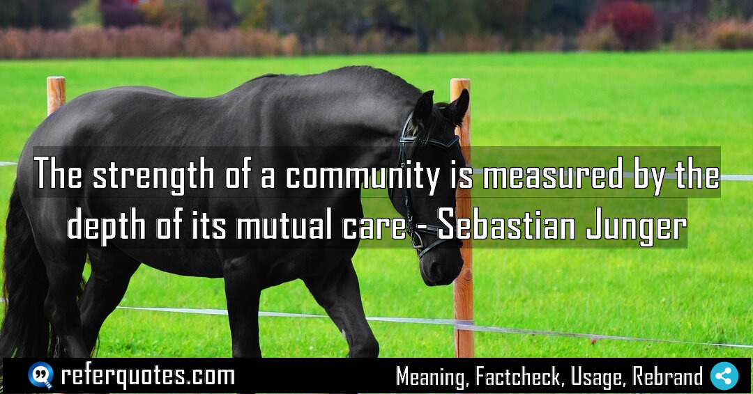 The strength of a community is measured by Meaning Factcheck Usage