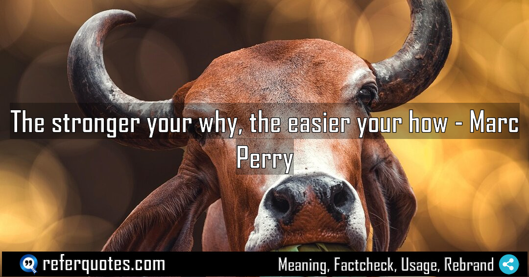 The stronger your why the easier your how Meaning Factcheck Usage