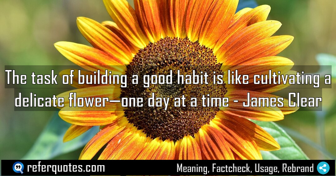 The task of building a good habit is Meaning Factcheck Usage
