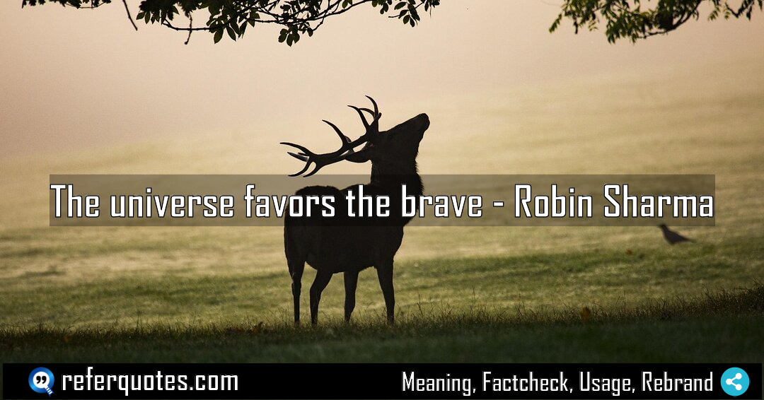 The universe favors the brave Meaning Factcheck Usage