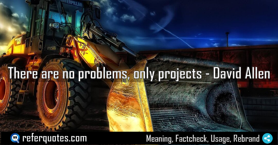 There are no problems only projects Meaning Factcheck Usage