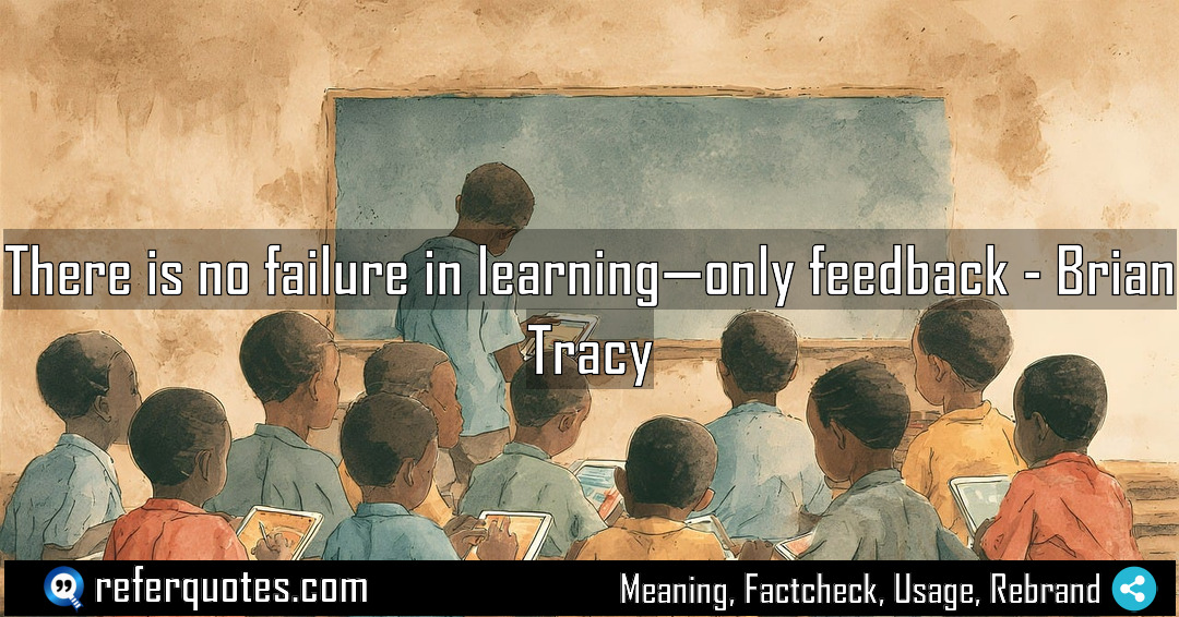 There is no failure in learning only feedback Meaning Factcheck Usage